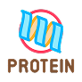 Protein